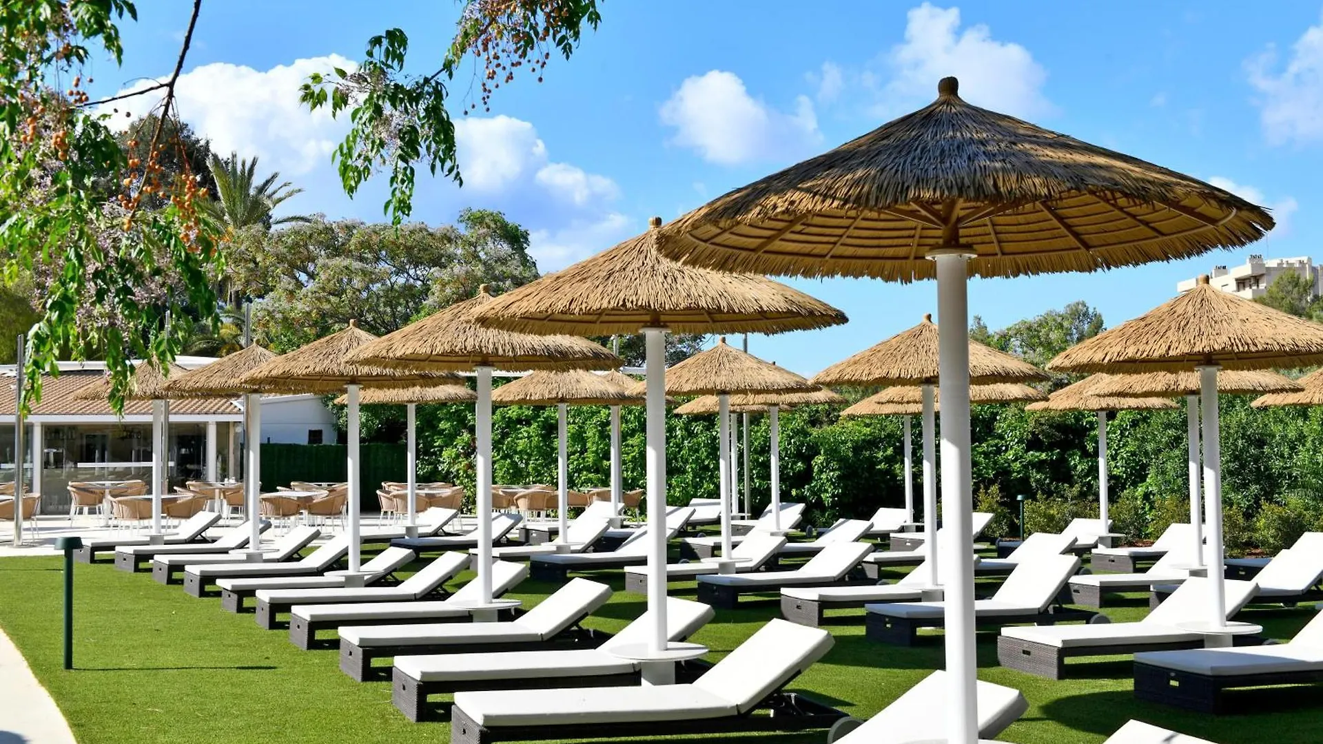 Salles Hotels Marina Portals Portals Nous   Portals Nous (Mallorca)